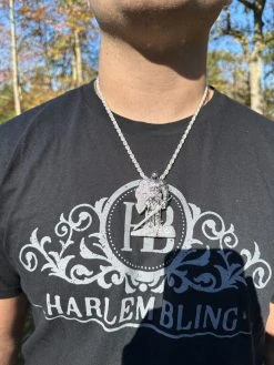 SERIES 2: Limited Edition Moissanite "Silver Knight" Pendant Harlembling X Romeo Brown 23 SERIES 2: Limited Edition Moissanite "Silver Knight" Pendant Harlembling X Romeo Brown -Harlem Bling Shop italiano silver inc series 2 limited edition moissanite silver knight pendant harlembling x romeo brown 77241.1699155775