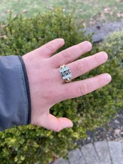 Solid 925 Sterling Silver & 14k Gold Dollar Sign $ Money Ring Iced Hip Hop Pinky -Harlem Bling Shop italiano silver inc solid 925 sterling silver and 14k gold dollar sign dollar money ring iced hip hop pinky 81853.1664395057