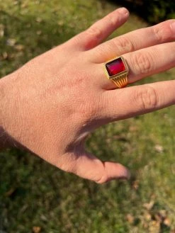 Mens Real 14k Gold Vermeil Over Solid 925 Silver Ruby Red Stone Ring Hip Hop Ice -Harlem Bling Shop mens real 14k gold vermeil over solid 925 silver ruby red stone ring hip hop ice 51986.1664361219