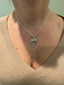 MOISSANITE 925 Silver / Gold Iced Swordfish Fishing Pendant Marlin Fish Necklace 28 MOISSANITE 925 Silver / Gold Iced Swordfish Fishing Pendant Marlin Fish Necklace -Harlem Bling Shop moissanite 925 silver gold iced swordfish fishing pendant marlin fish necklace 55160.1702443295