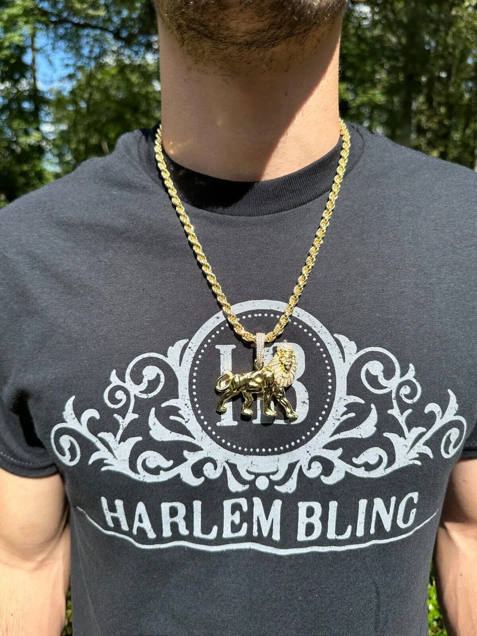 MOISSANITE Real 925 Silver Iced Lion Of Judah W. Crown Rasta Pendant Necklace 12 MOISSANITE Real 925 Silver Iced Lion Of Judah W. Crown Rasta Pendant Necklace - Image 10