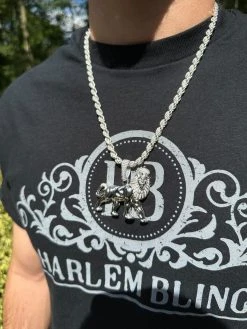 MOISSANITE Real 925 Silver Iced Lion Of Judah W. Crown Rasta Pendant Necklace 26 MOISSANITE Real 925 Silver Iced Lion Of Judah W. Crown Rasta Pendant Necklace -Harlem Bling Shop moissanite real 925 silver iced lion of judah w crown rasta pendant necklace 81059.1694655060